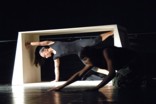 shape_stramacci