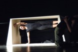 shape_stramacci