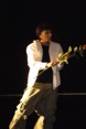 shape_stramacci