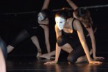 shape_stramacci